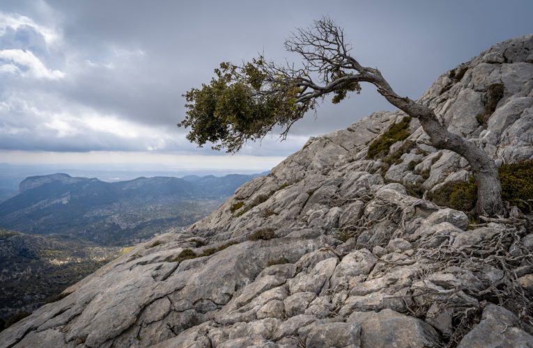 Weatherford: The Importance of Resilience in Overcoming Trauma
